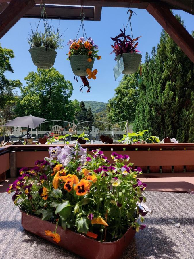 Hotel Zum Poppschen Gut Olbernhau Eksteriør bilde