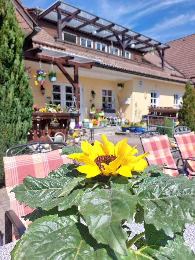 Hotel Zum Poppschen Gut Olbernhau Eksteriør bilde
